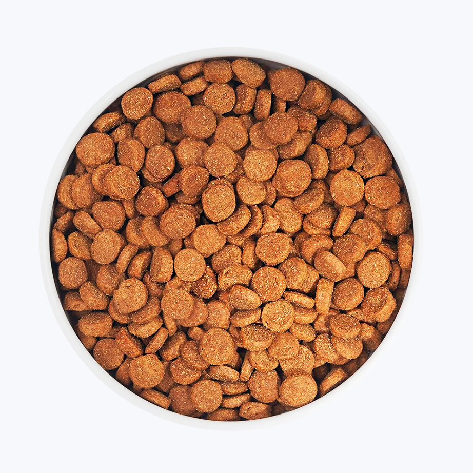 Adult dog food