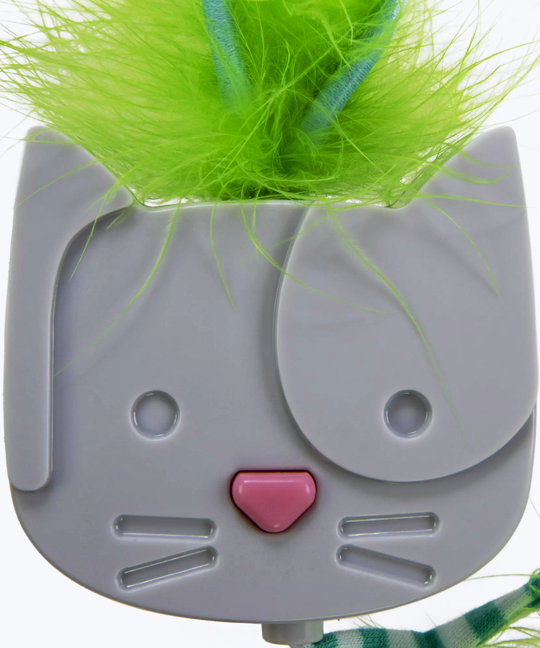 Teaser for cat